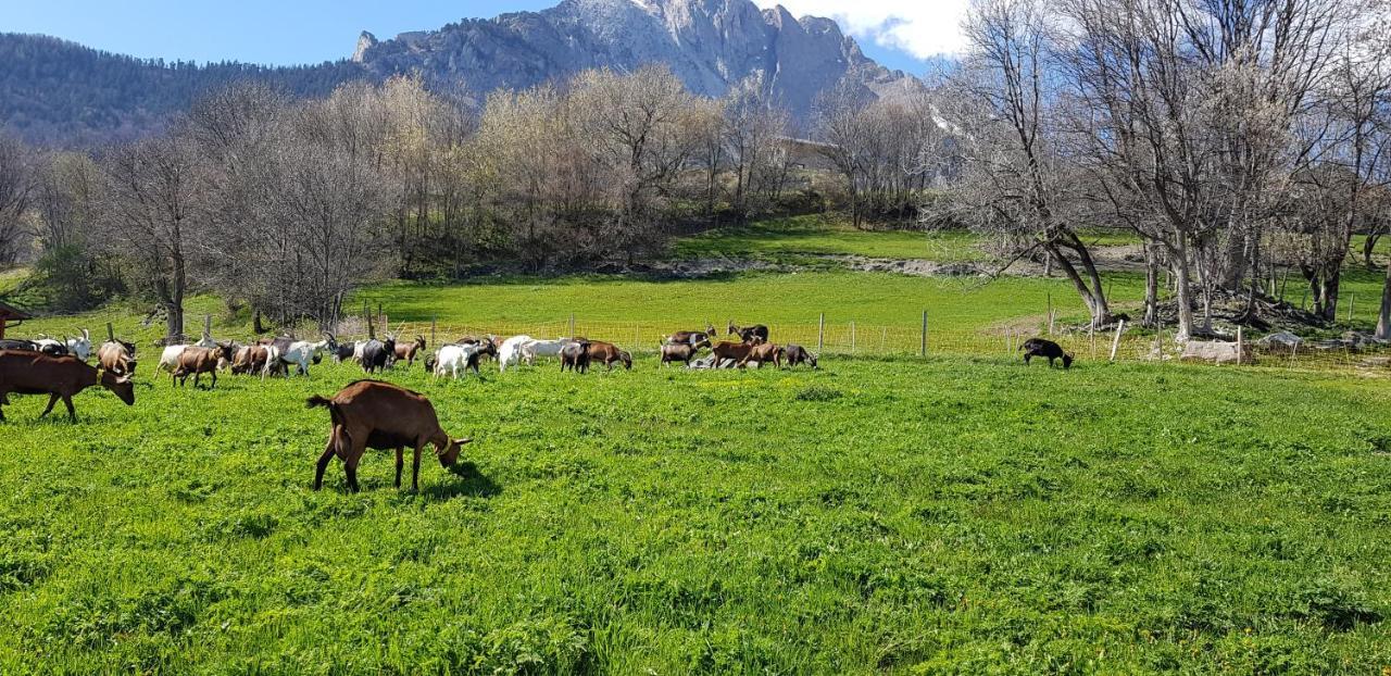 Chambre D'Hotes A La Ferme Beaune  Zewnętrze zdjęcie