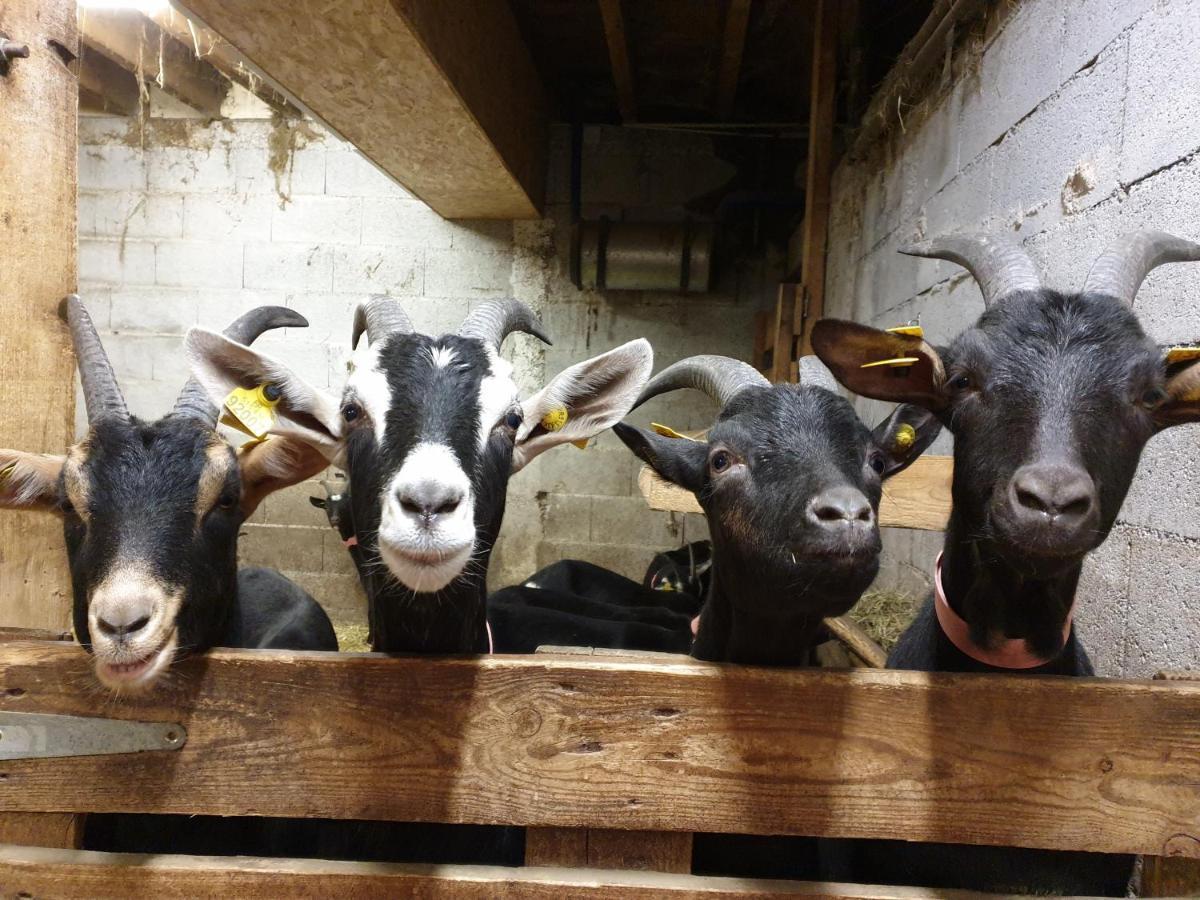 Chambre D'Hotes A La Ferme Beaune  Zewnętrze zdjęcie